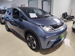 BYD Dolphin Glory Edition 420km Freedom Version - ფოტო 3