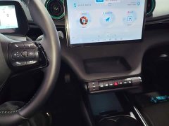 BYD Dolphin Glory Edition 420km Freedom Version - ფოტო 9