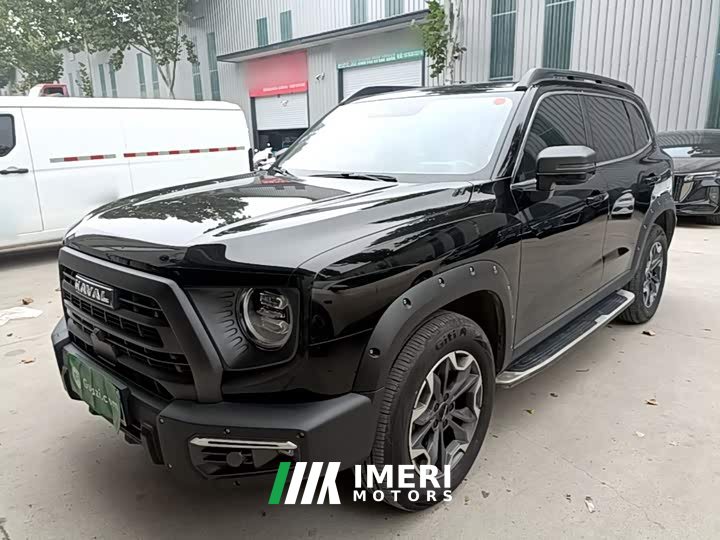 Great Wall Dachshund 2.0T DCT Chinese Rural Dog Edition - автомобиль из Китая