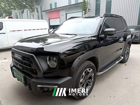 2024 Great Wall Dachshund 2.0T DCT Chinese Rural Dog Edition - автомобиль из Китая