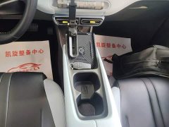 BYD Seagull Flying Edition - фото 13