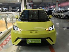 BYD Seagull Flying Edition - фото 2