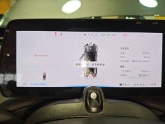 Xpeng P7 670E - ფოტო 11