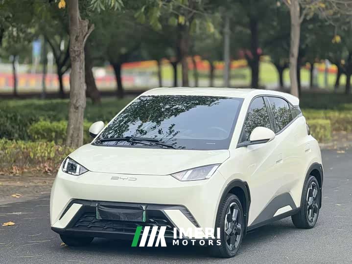 BYD Seagull Freedom Edition - ავტომობილი ჩინეთიდან