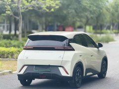 BYD Seagull Freedom Edition - ფოტო 4