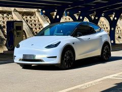 Tesla Model Y Rear-Wheel Drive - photo 1