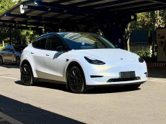 Tesla Model Y Rear-Wheel Drive - photo 3