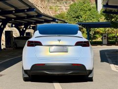Tesla Model Y Rear-Wheel Drive - photo 5