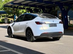 Tesla Model Y Rear-Wheel Drive - photo 6
