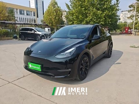 2021 Tesla Model Y Standard Range RWD - автомобиль из Китая