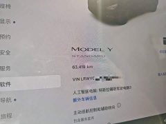 Tesla Model Y Standard Range RWD - ფოტო 11