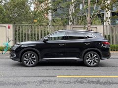 BYD Song Plus New Energy Glory Edition EV 520km Flagship - фото 3