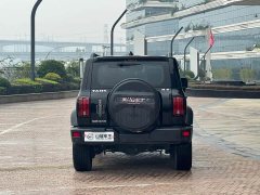 Tank 300 Off-Road Edition 2.0T Conqueror - ფოტო 13