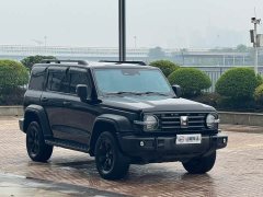 Tank 300 Off-Road Edition 2.0T Conqueror - ფოტო 3