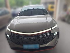 Haval Shenshou 1.5T Smart Enjoy DHT - photo 4