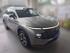 Haval Shenshou 1.5T Smart Enjoy DHT - photo 5