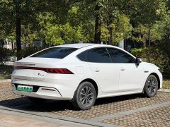 BYD Qin PLUS Champion Edition DM-i 55KM Leading - фото 14