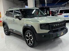 Jetour Jietu Shanhai T1 150km Xianghai - photo 3