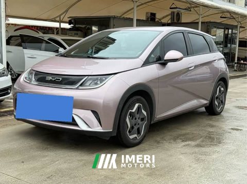 2023 BYD Dolphin 405km Freedom Edition - ავტომობილი ჩინეთიდან