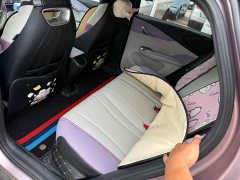 BYD Dolphin 405km Freedom Edition - ფოტო 6