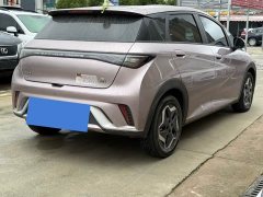 BYD Dolphin 405km Freedom Edition - ფოტო 9