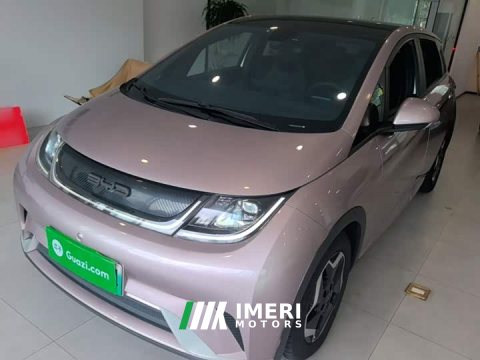 2022 BYD Dolphin 405km Fashion Edition - ავტომობილი ჩინეთიდან