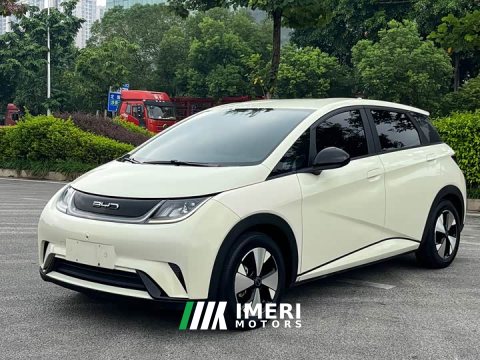 2023 BYD Dolphin 420km Freedom Edition - ავტომობილი ჩინეთიდან
