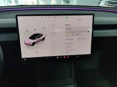 Tesla Model 3 Rear-Wheel Drive - ფოტო 13