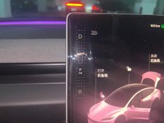 Tesla Model 3 Rear-Wheel Drive - ფოტო 16
