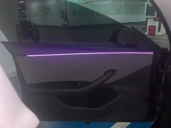 Tesla Model 3 Rear-Wheel Drive - ფოტო 7