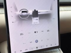 NIO ET7 100kWh Executive - ფოტო 19