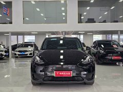 Tesla Model Y Rear-Wheel Drive - photo 2