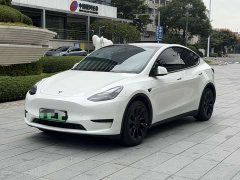 Tesla Model Y Rear-Wheel Drive - ფოტო 1