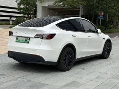 Tesla Model Y Rear-Wheel Drive - ფოტო 3