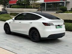Tesla Model Y Rear-Wheel Drive - ფოტო 5