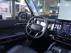 Jetour Traveller 1.5T 2WDPRO - ფოტო 16