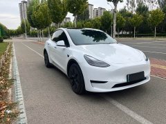 Tesla Model Y Rear-Wheel Drive - фото 2