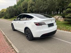 Tesla Model Y Rear-Wheel Drive - фото 7