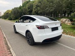 Tesla Model Y Rear-Wheel Drive - фото 8
