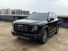 Great Wall Dachshund 1.5T DCT Two-Wheel Drive Border Collie Edition - фото 1