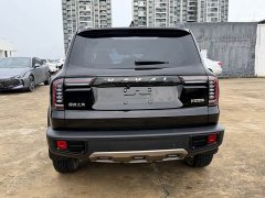 Great Wall Dachshund 1.5T DCT Two-Wheel Drive Border Collie Edition - фото 16