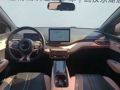 BYD Seagull Flying Edition - фото 15