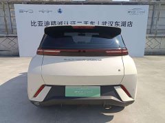 BYD Seagull Flying Edition - фото 19