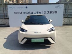 BYD Seagull Flying Edition - фото 2