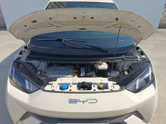 BYD Seagull Flying Edition - фото 6