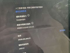 Tesla Model 3 High-Performance AWD Version - ფოტო 8