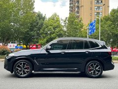 BMW X3 xDrive25i M Sport Package - фото 3
