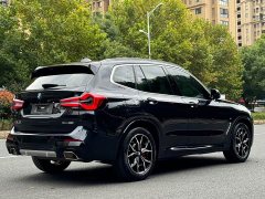 BMW X3 xDrive25i M Sport Package - фото 5