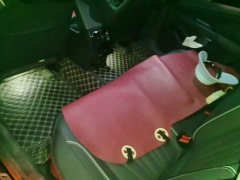 Volkswagen Passat 380TSI Starry Sky Dragon Ascendant Edition - photo 11