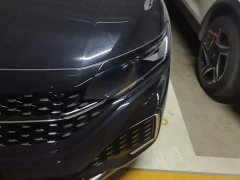 Volkswagen Passat 380TSI Starry Sky Dragon Ascendant Edition - photo 5